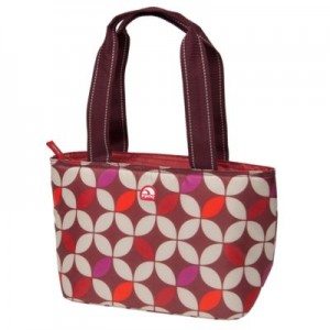 Eco-Fancy Lunch: Igloo Mini Tote 8