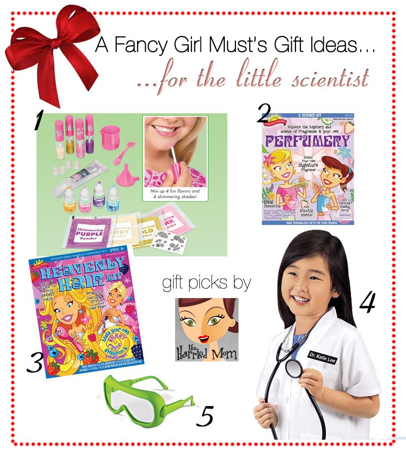 AFGM Holiday Gift Guide: The Little Scientist