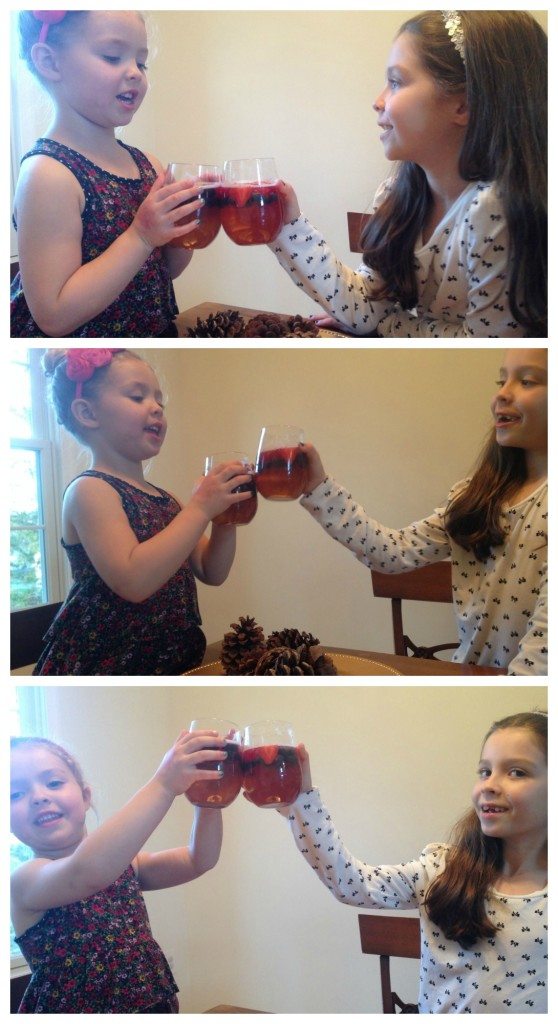 Festive Sparkling Cider Drink for Kids, Plus a Toast for Thanksgiving | AFancyGirlMust.com