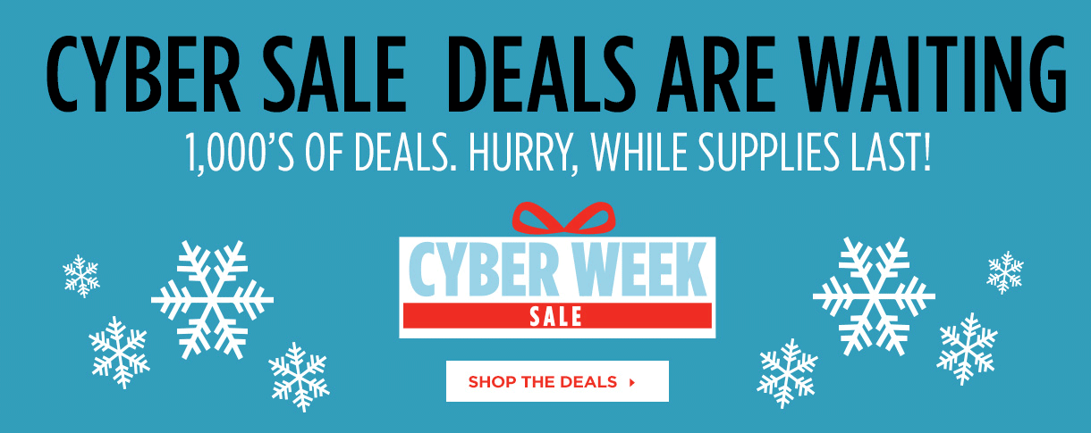 A Fancy Girl Must 2015 Cyber Week Deals at The Sports Authority